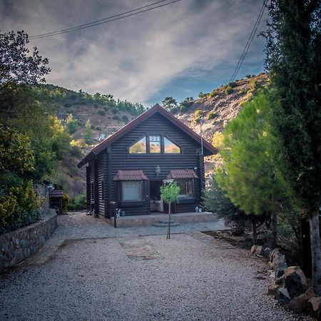 *2 Bdr Log House /Mountains/Queen Bed/Fireplace Gourri Exteriör bild