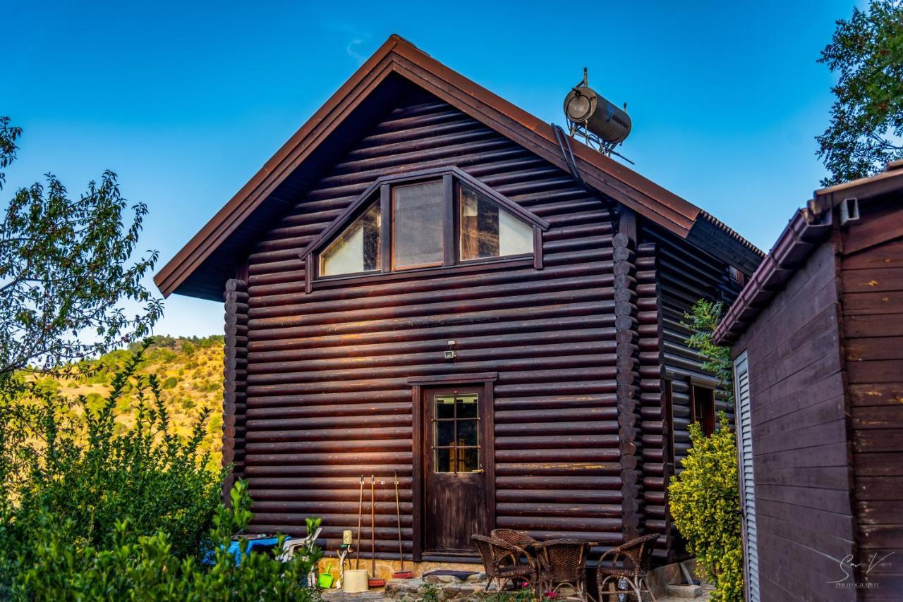 *2 Bdr Log House /Mountains/Queen Bed/Fireplace Gourri Exteriör bild